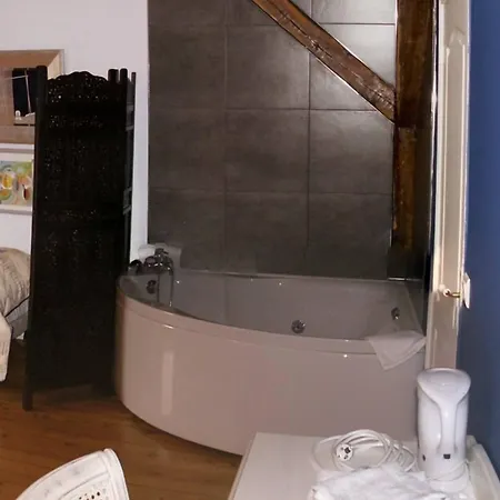 Manoir Francois 1er בית הארחה