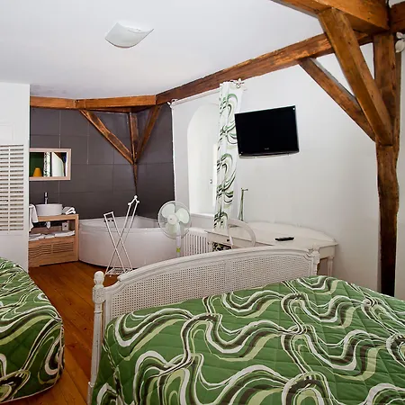 게스트하우스 Manoir Francois 1er